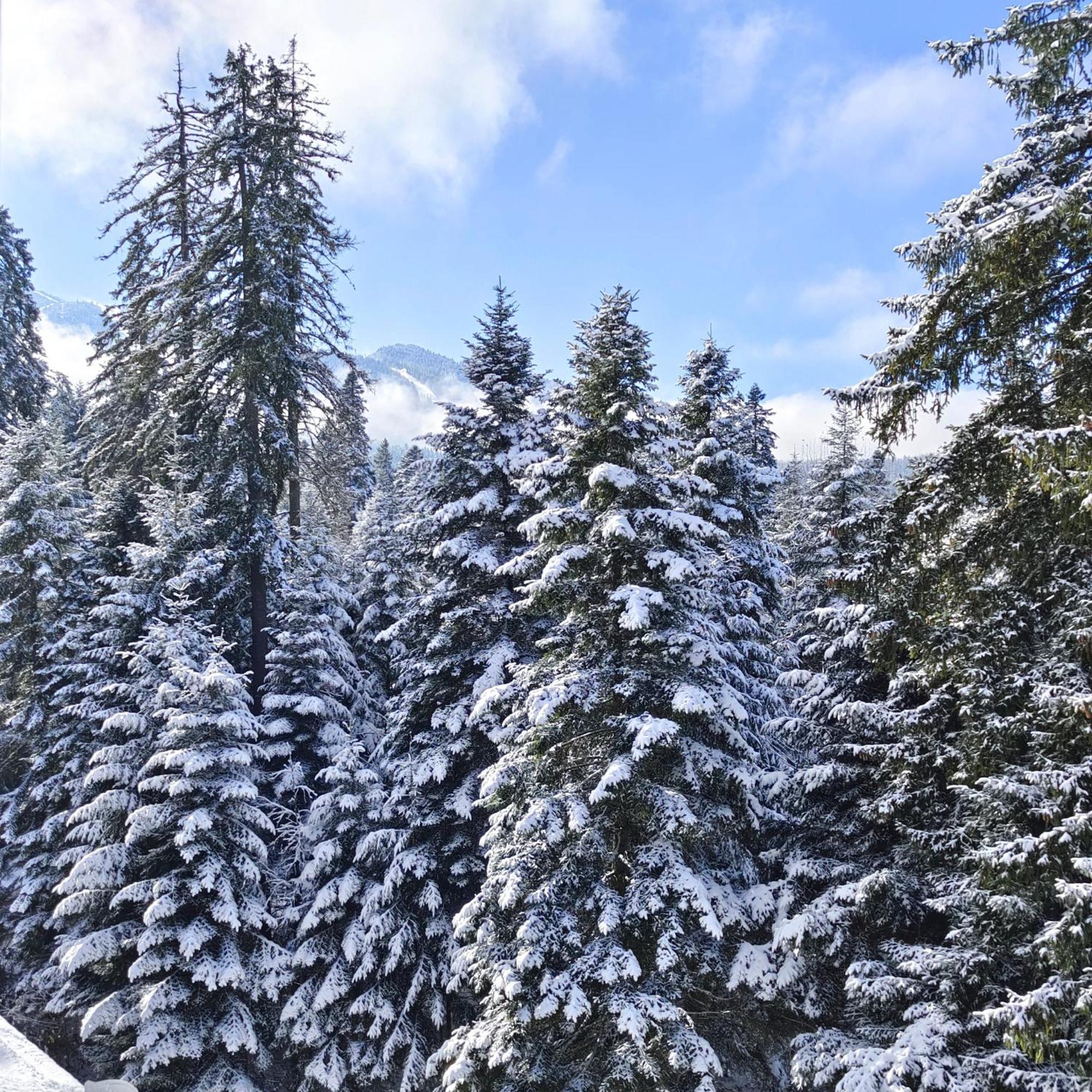 Borovets Dream Studio ภายนอก รูปภาพ